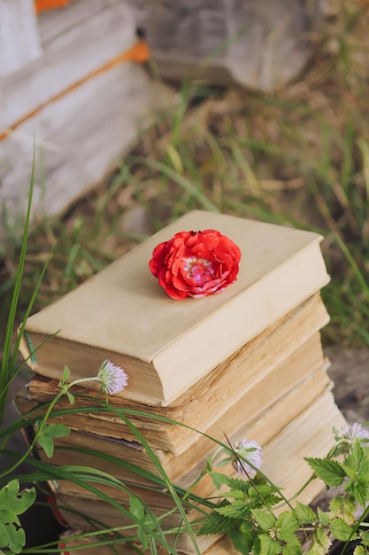 Vintage card with stack of old books and rose flower outdoors