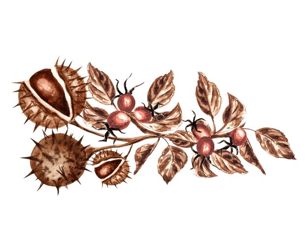 Vintage chestnuts branch with rosehip template print of autumn chestnut round spiky fruits and