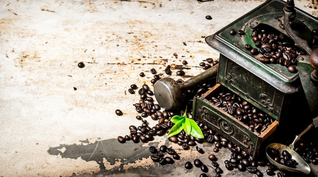 Vintage coffee grinder with pestle