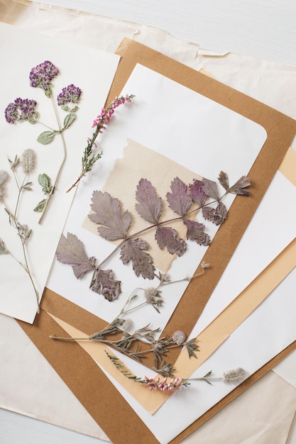 Vintage composition of dried plants and old sheets of paper