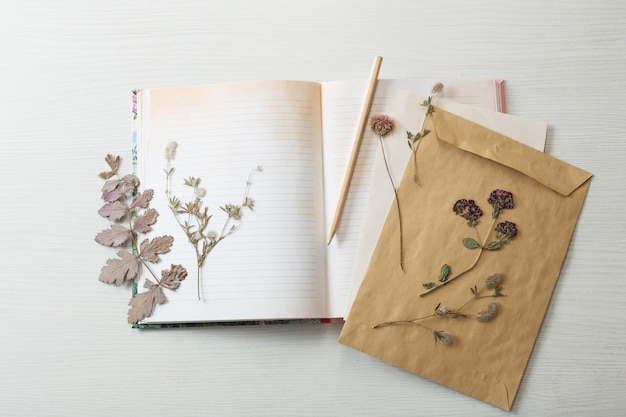 Vintage composition of dried plants and old sheets of paper