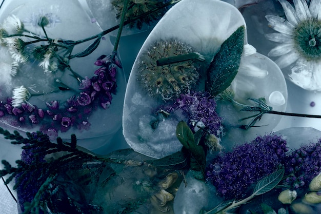 Vintage dark background flowers in ice Creative floral background Frozen beautiful plants