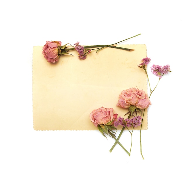 Vintage paper with soft pink roses