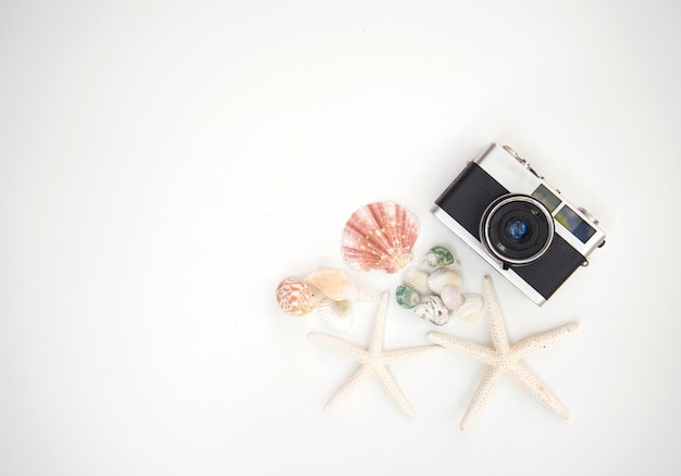 Vintage photo camera with sea animal on wood