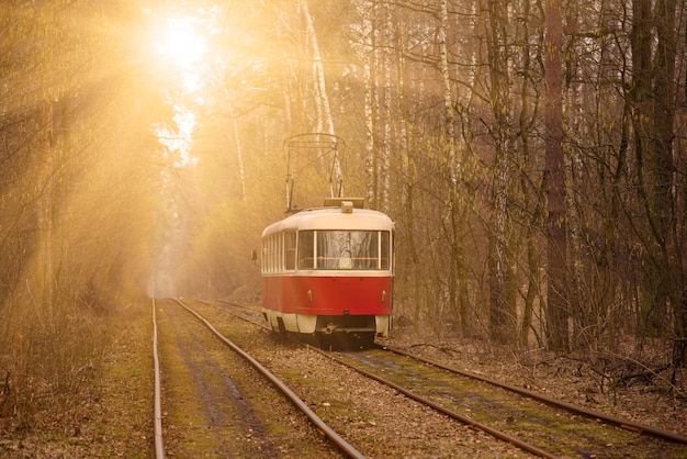 Vintage red tram running through the forest part of the city Autumn background in the park in Kiev Ukraine