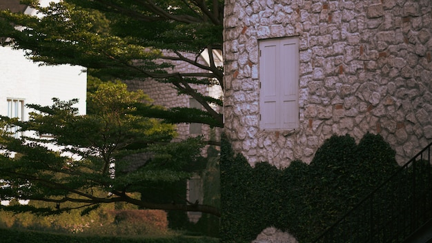 Vintage style window, wall of the house with a closed window left and details.