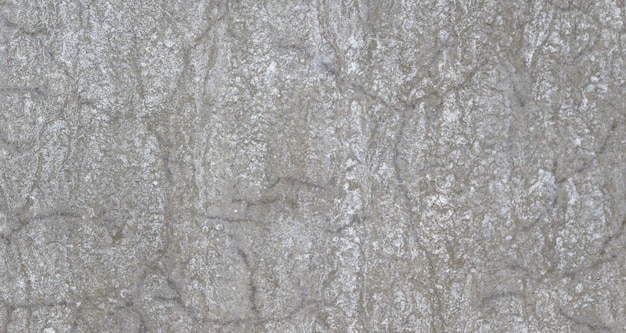 vintage textured cement wall