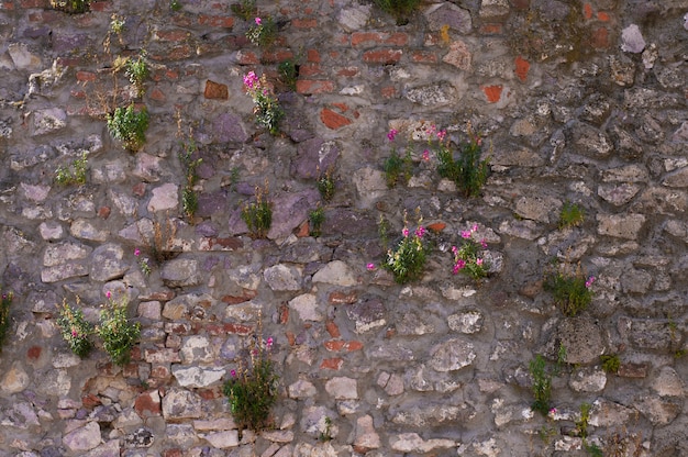 Vintage wall texture with flowers