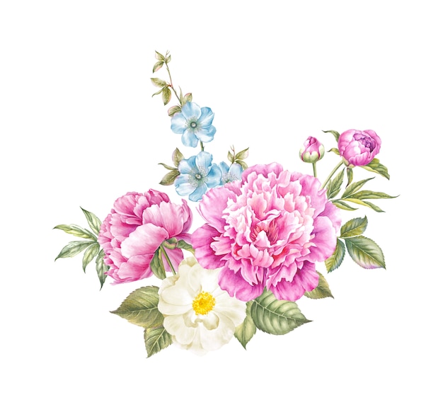 Vintage watercolor botanical illustration of peonies.