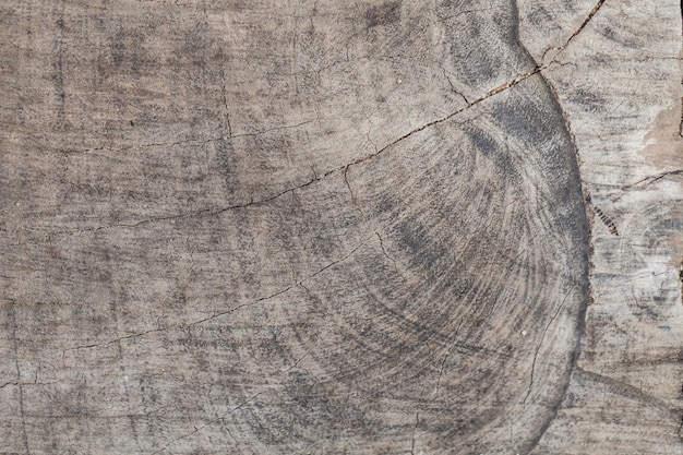 Vintage wood texture