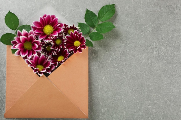 Violet chrysanthemum in envelope on table