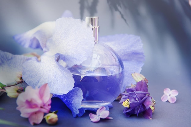 Violet circle perfume bottle on gray backdrop