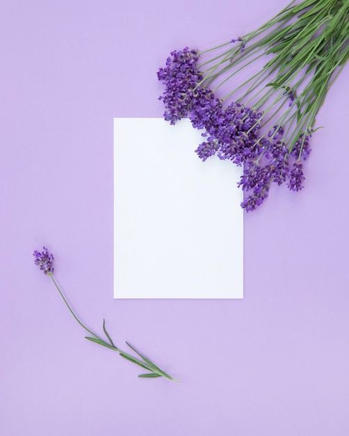 Violet flowers Blank paper card mockup on lilac background Greeting card Top view Flat lay