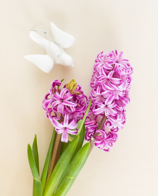 Violet Hyacinth flowers