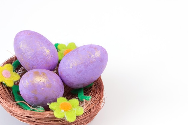 Violet painted Easter eggs in a nest on a white background