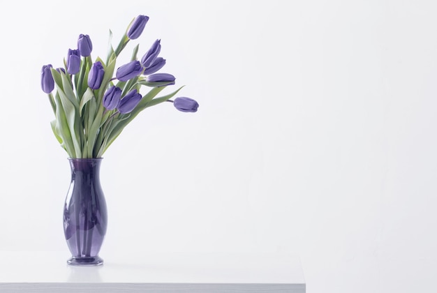 Violet tulips in glass vase on white background