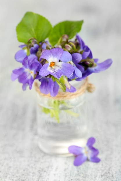 Violets flowers on wooden table