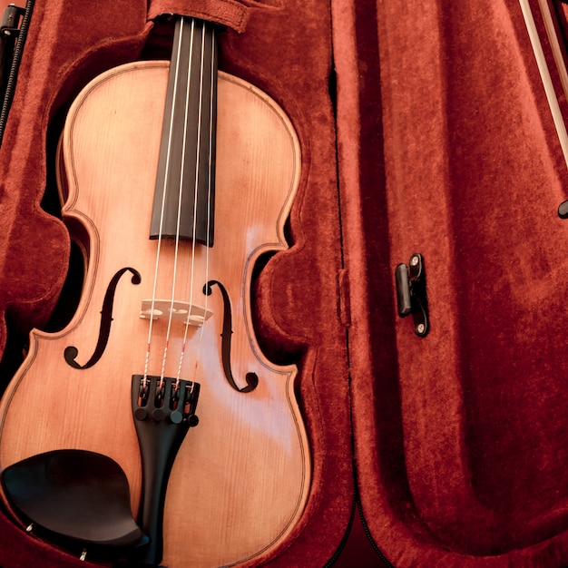 Violin and bow in dark red case.