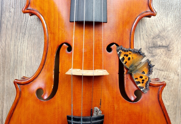 Violin and butterfly on a wooden table