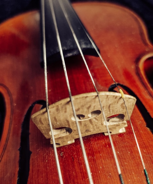 A violin has a string that has the word violin on it.