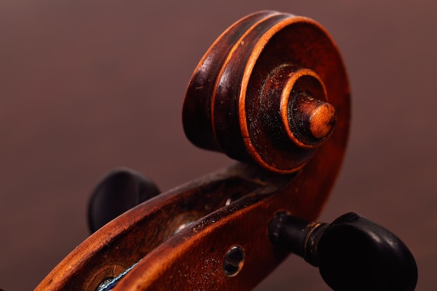 Violin head