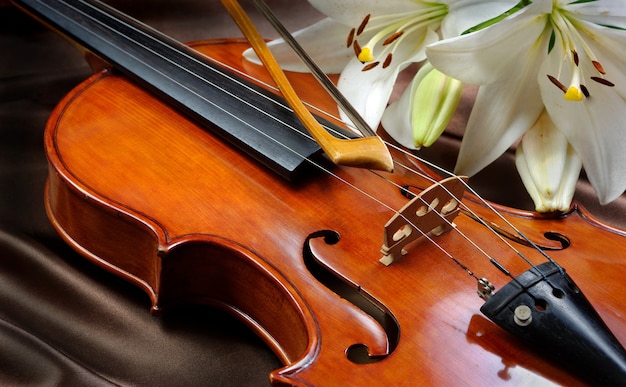 violin and lily on a silk tableclose up