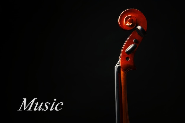 Violin neck on dark background