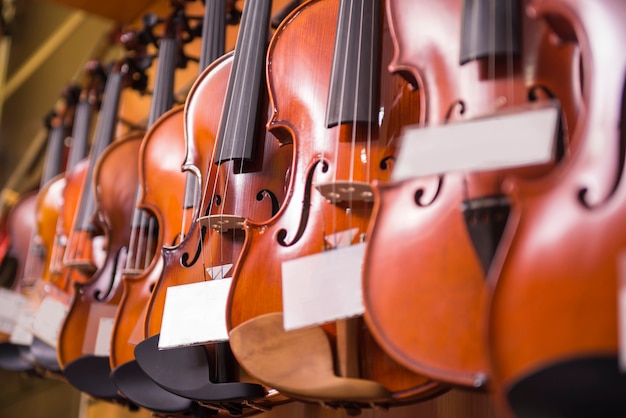 Violins are hanging on the wall in the shop.