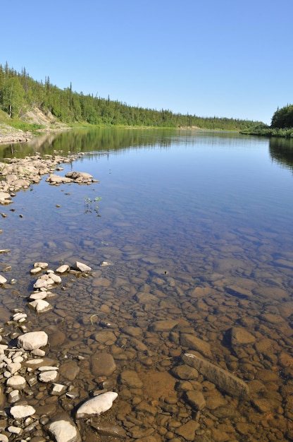 Virgin Komi forests taiga river Paga