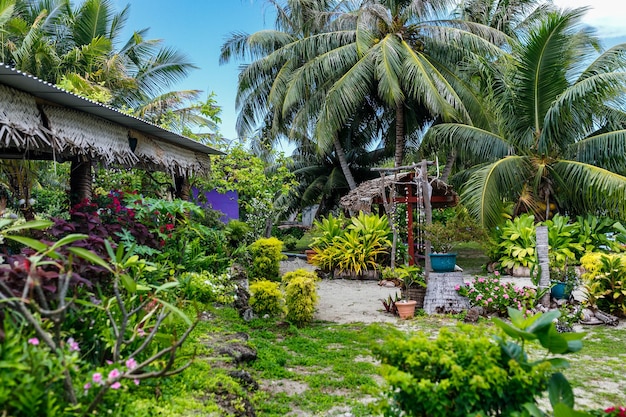 The virgin nature of French Polynesia with its beautiful landscapes