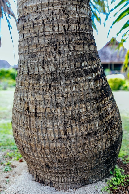 The virgin nature of French Polynesia with its beautiful landscapes