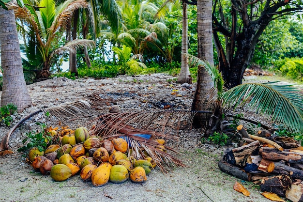 The virgin nature of French Polynesia with its beautiful landscapes