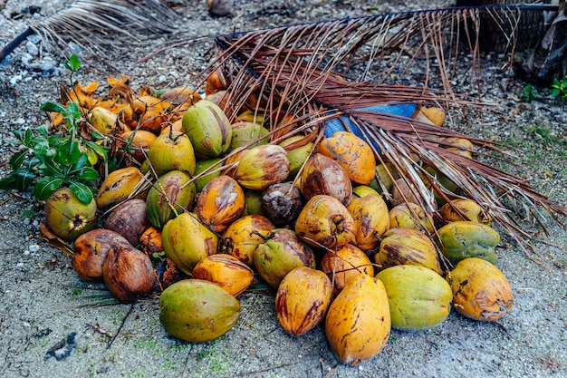 The virgin nature of French Polynesia with its beautiful landscapes