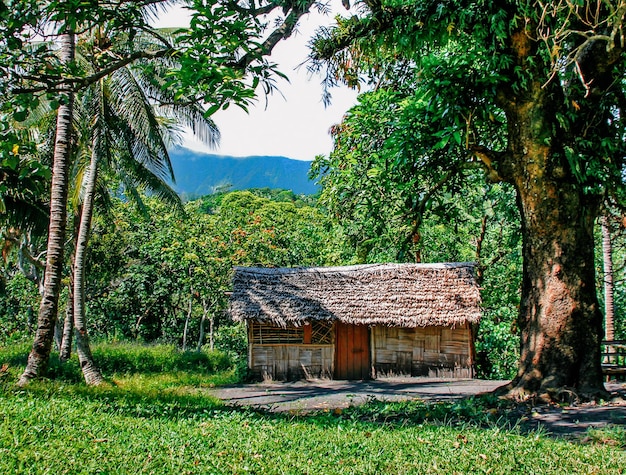 The virgin nature of New Caledonia with its beautiful landscapes