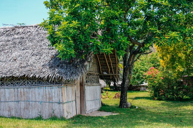 The virgin nature of New Caledonia with its beautiful landscapes