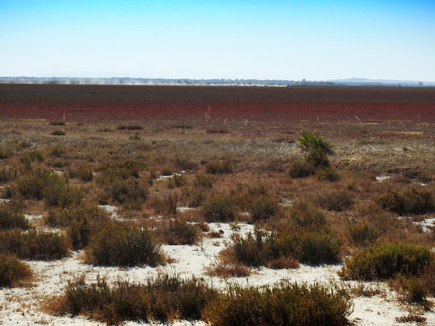 Vista del Parque de Donana uno de los mayores espacios protegidos de Europa