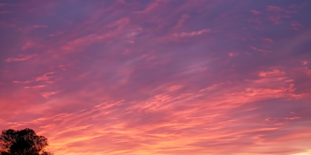 A visual symphony unfolds as trees stand in silhouette against the canvas of bright monsoon clouds during sunset