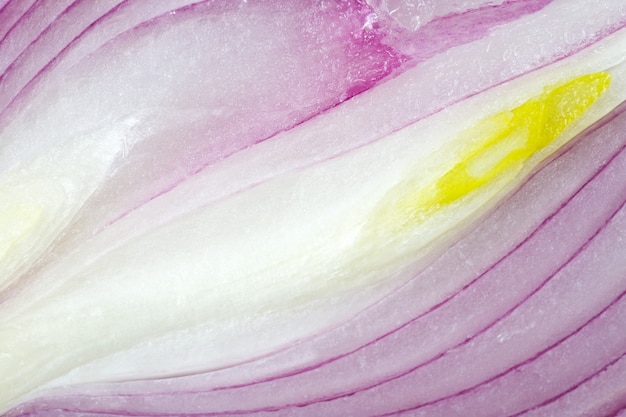 Vitamin split violet onion bulb  surface