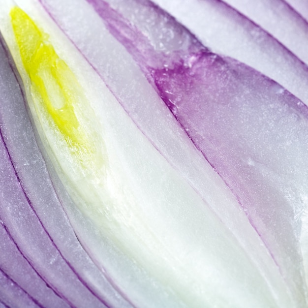 Vitamin split violet onion bulb  surface