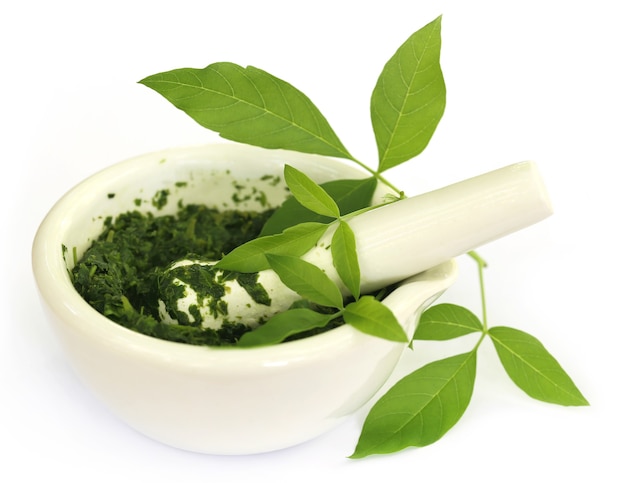 Vitex Negundo wtih mortar and pestle over white background