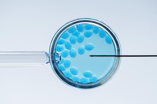 In vitro fertilisation concept. Artificial insemination or fertility treatment macro photography