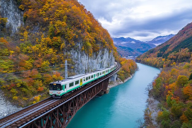 Photo the vivid autumn colors at naruko gorge valley with autumn leaves covering the iron bridge cover japan