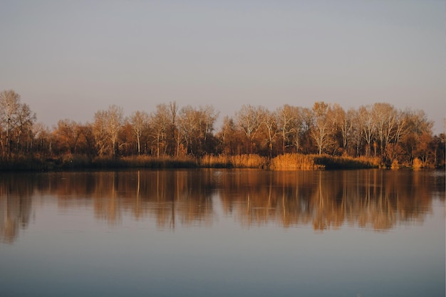 Vivid autumn sunset. Autumn landscape of sunset over river with shining grass on shore. Scenic nature at bright evening with colorful sky