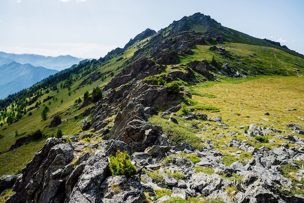 Vivid green mountainside with conifer forest and crags.