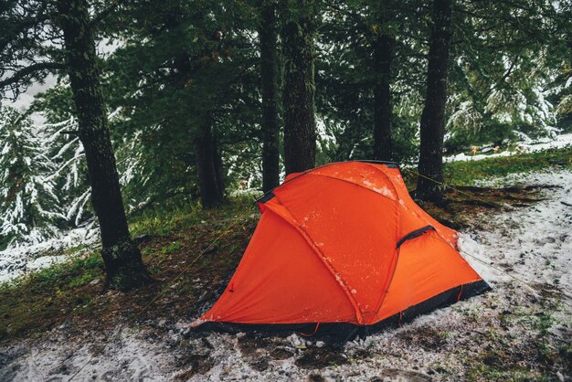 Vivid orange tent under conifer trees on snowy hill. Tent under tree in snow in coniferous forest on hillside. Closeup of bright orange tent in mountains. Scenic mountain landscape with snow in autumn