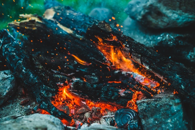 Vivid smoldered firewoods burned in fire close-up