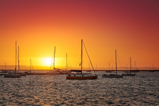 Vivid sunset at marina silhouettes of yachts against orange sky La Paz Mexico