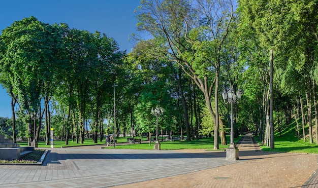  Vladimirskaya Gorka park in Kyiv, Ukraine, on a sunny summer morning