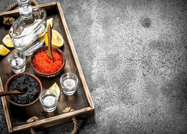 Vodka in a bottle with black and red caviar . On rustic background .