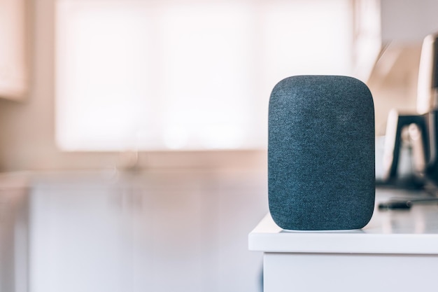 Voice controlled smart speaker